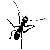 Karınca Z