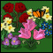 Çiçek Bahçesi
